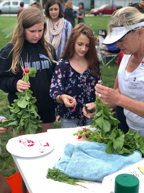 Master gardeners helping with harvest