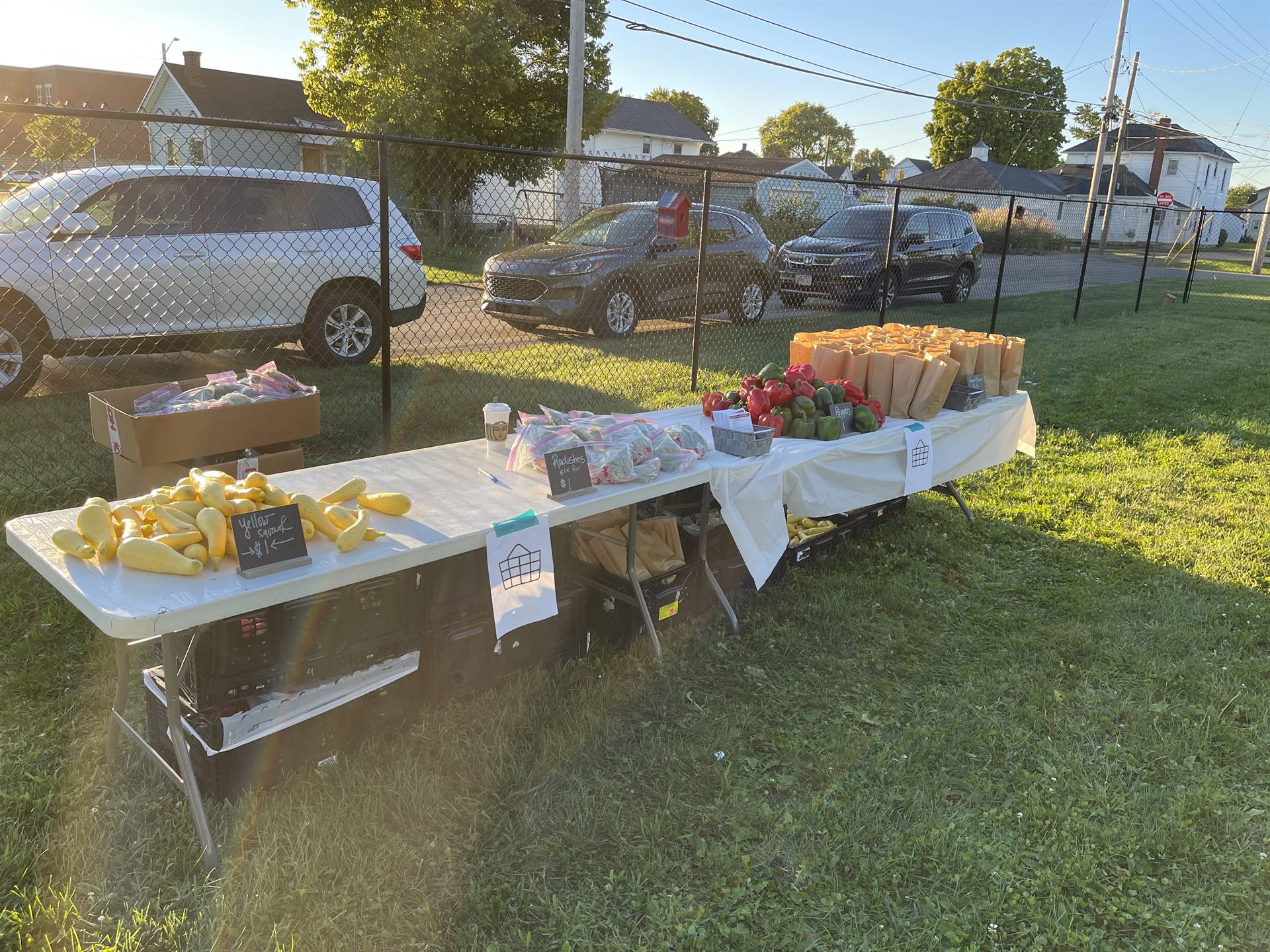 2023 Junior Farmer&#39;s Market with OSU!