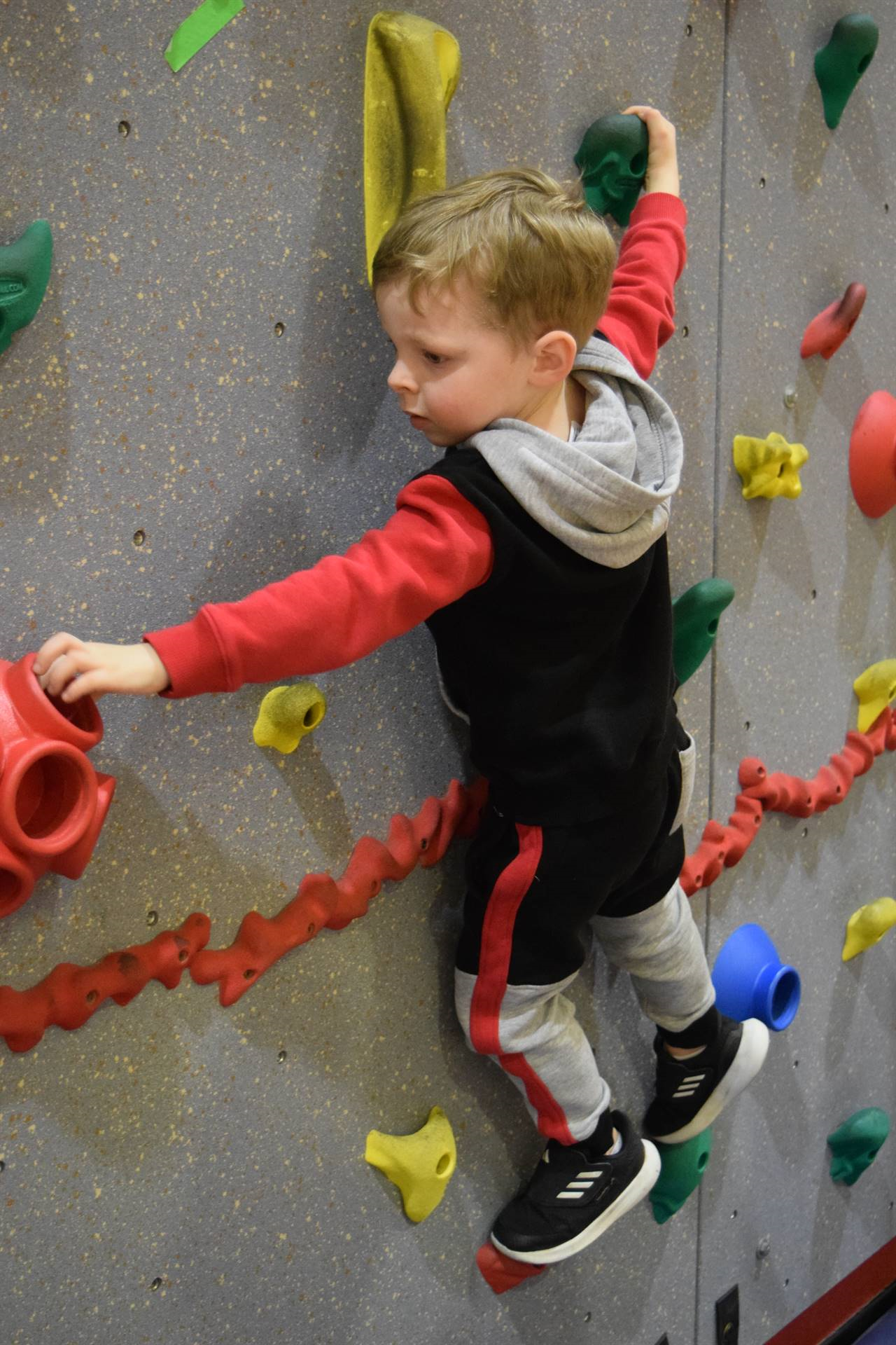 Climbing Wall